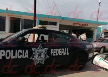 Lo mordió una «cuatro narices» y vive para contarlo!