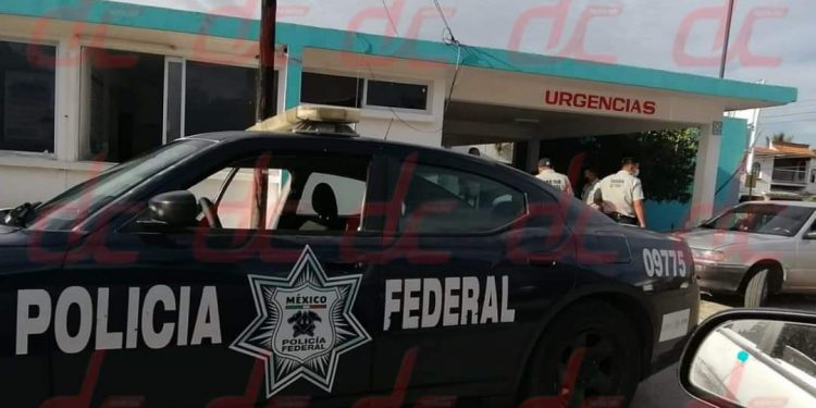 Lo mordió una «cuatro narices» y vive para contarlo!