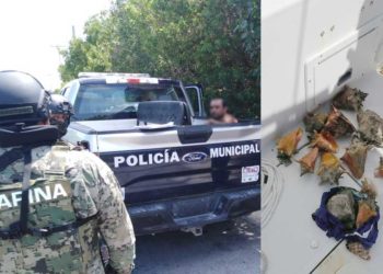 Inspectores de la Conanp y Semar detiene a pescador con 14 caracoles en Isla Mujeres