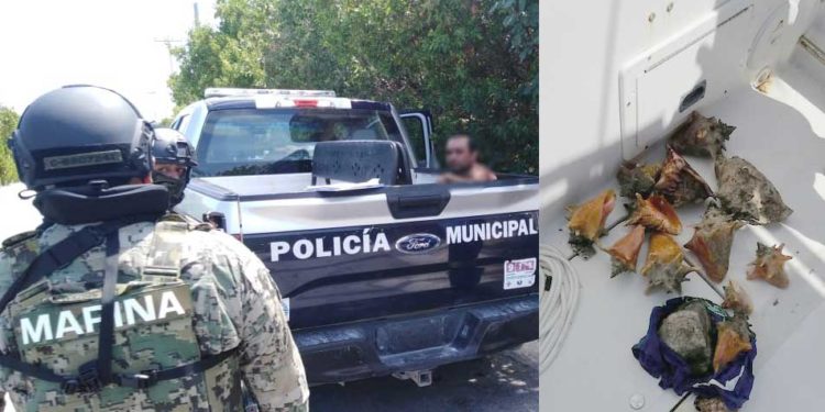 Inspectores de la Conanp y Semar detiene a pescador con 14 caracoles en Isla Mujeres
