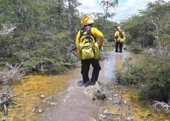 Mil 800 hectáreas siniestradas por incendio en Sia’ an Ka’an
