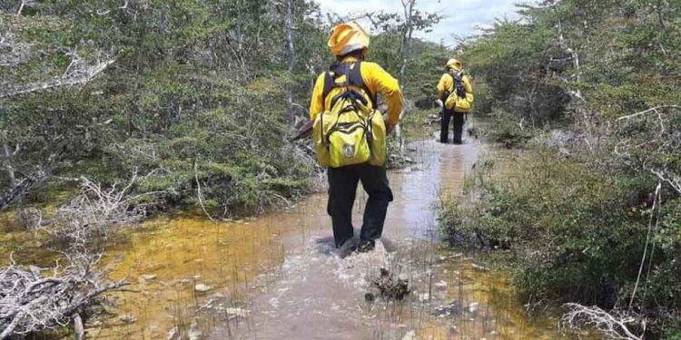 Mil 800 hectáreas siniestradas por incendio en Sia’ an Ka’an