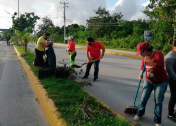 Continúan las brigadas de limpieza en Rancho Viejo, en Isla Mujeres