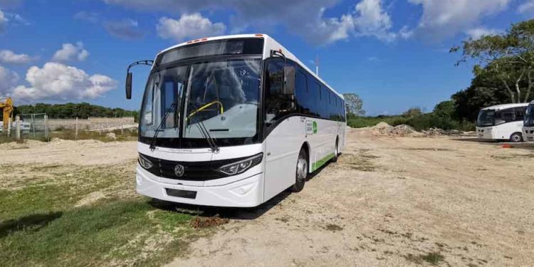 Entra Isleños Bus a Playa Mujeres con concesión en la mano