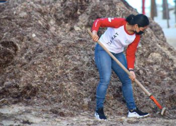 Retiran de las playas en Isla Mujeres poco más de 10 toneladas de sargazo