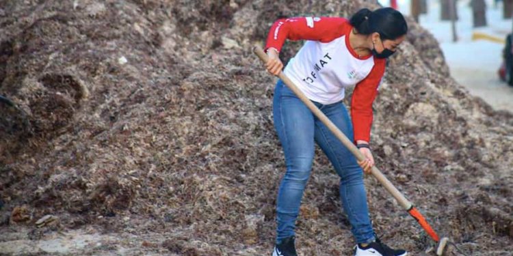 Retiran de las playas en Isla Mujeres poco más de 10 toneladas de sargazo