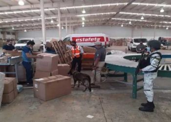 Aseguran 390 kilogramos de marihuana con destino a Chetumal
