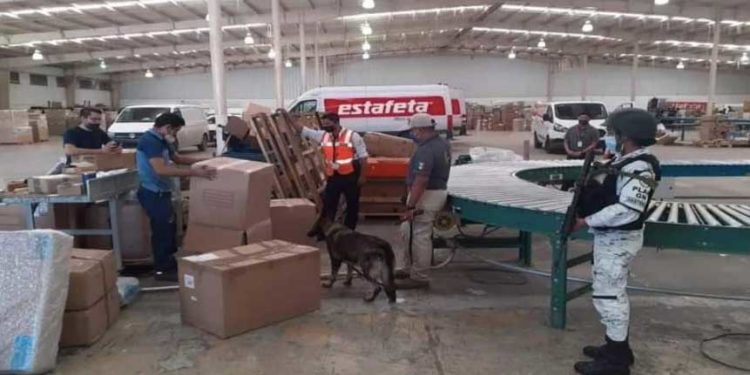 Aseguran 390 kilogramos de marihuana con destino a Chetumal