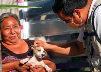 Extienden invitación para participar en campaña de vacunación canina