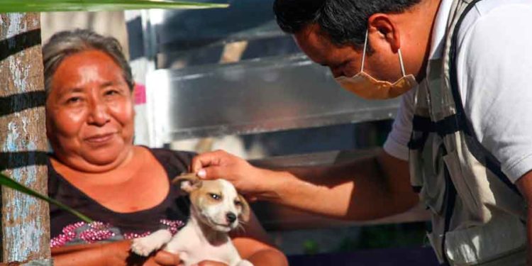 Extienden invitación para participar en campaña de vacunación canina