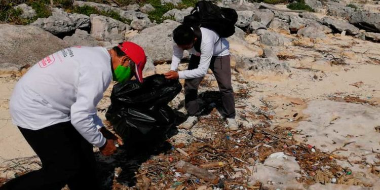 Retira Zofemat más de media tonelada de desechos sólidos de playas de Cozumel