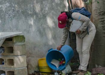 En Cozumel refuerzan la lucha contra el Dengue