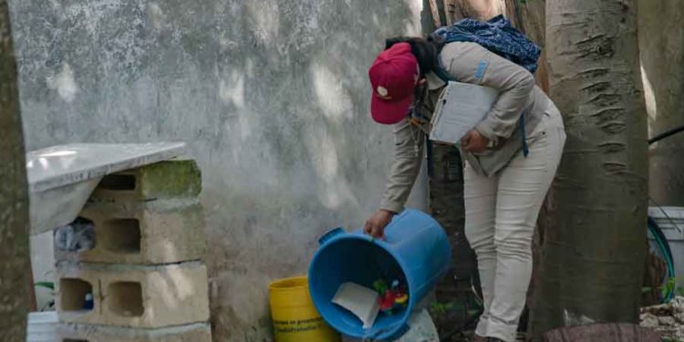 En Cozumel refuerzan la lucha contra el Dengue