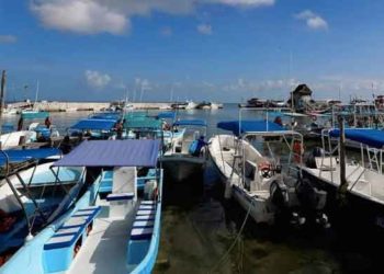 En Holbox se analiza aprovechar los residuos para convertirlos en energía