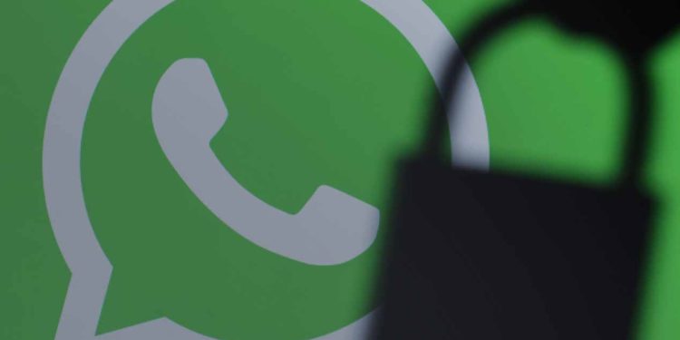WhatsApp sabrá qué compras, entre otras cosas; esto es lo que halló el INAI