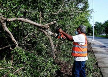 Continúa Servicios Públicos de Isla Mujeres trabajos de limpieza en Rancho Viejo