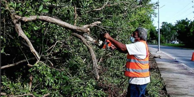 Continúa Servicios Públicos de Isla Mujeres trabajos de limpieza en Rancho Viejo