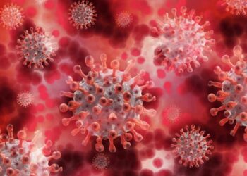 OMS preocupada por expansión de variante británica en Europa