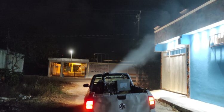 Continúa la lucha contra el mosco transmisor del dengue en Isla Mujeres