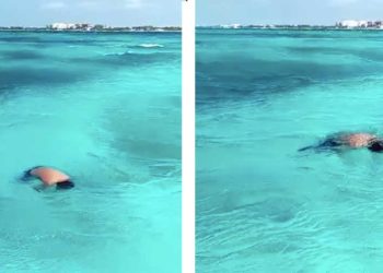 Sigue en calidad de desconocido cuerpo encontrado este medio día en Isla Mujeres