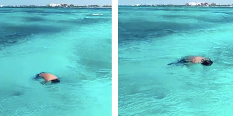 Sigue en calidad de desconocido cuerpo encontrado este medio día en Isla Mujeres