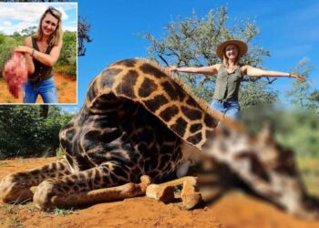 Mujer mata jirafa y publica las fotos en Facebook provocando fuerte indignación