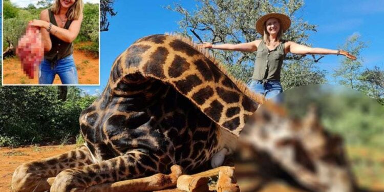 Mujer mata jirafa y publica las fotos en Facebook provocando fuerte indignación