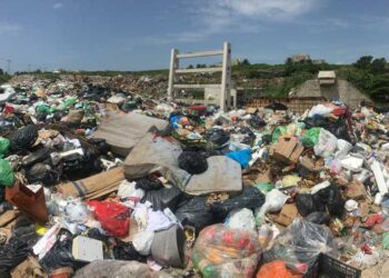 Logran sumar esfuerzos para sanear la Unidad de Transferencia de Basura en Isla Mujeres