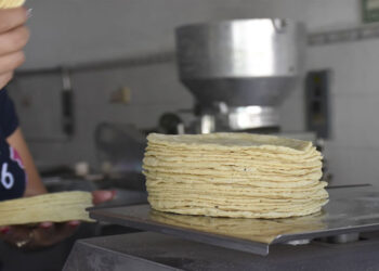 Inminente incremento al kilogramo de la tortilla en Isla Mujeres