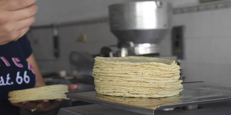 Inminente incremento al kilogramo de la tortilla en Isla Mujeres
