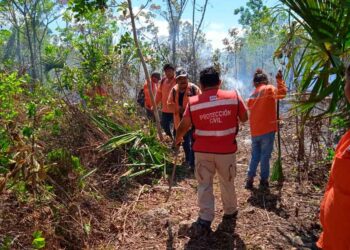 Bomberos sofocan conato de incendio en Francisco May