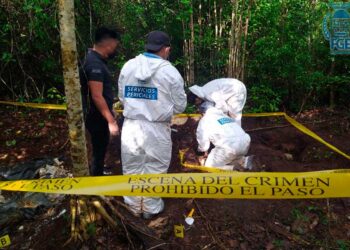 Siguen apareciendo restos humanos en la delegación Alfredo V. Bonfil.