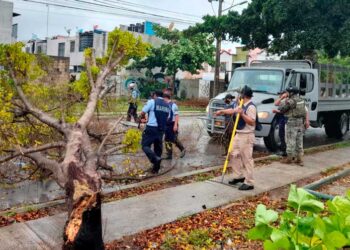La Armada de México apoya a la población civil en el estado de Quintana Roo, durante el paso del Huracán “GRACE”