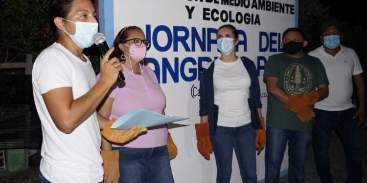 Arranca Jornada de Protección y Rescate de Cangrejo Azul en Isla Mujeres