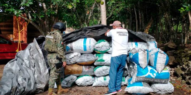 Secretaría de Marina decomisa 41 toneladas de carbón vegetal y madera