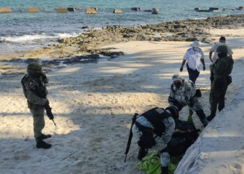Aseguran importante suma de marihuana en Puerto Morelos