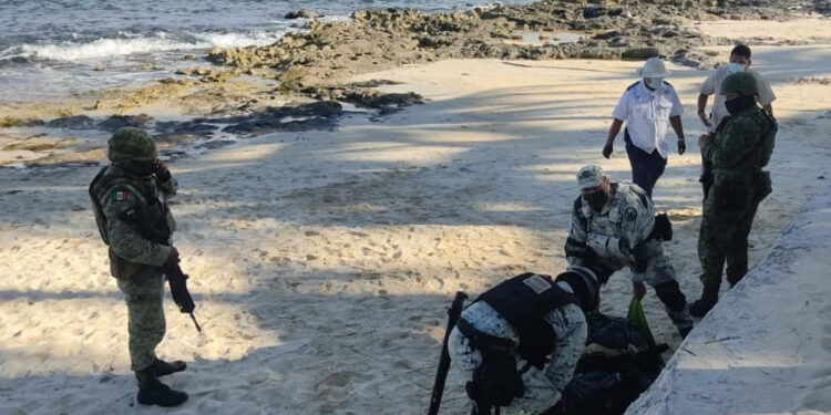 Aseguran importante suma de marihuana en Puerto Morelos