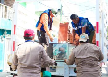 Hacen frente al dengue, zika y chikungunya en Isla Mujeres