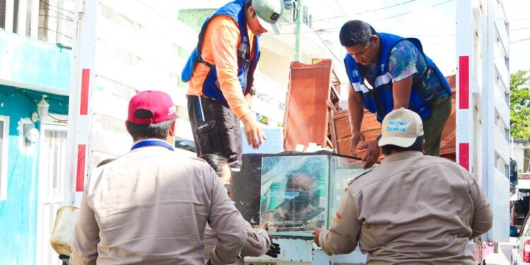 Hacen frente al dengue, zika y chikungunya en Isla Mujeres