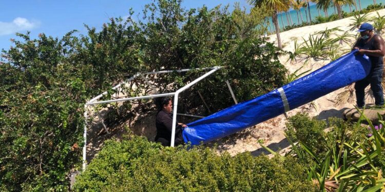 Desmantelan tres puestos irregulares de `masaje´ en Playa Mujeres