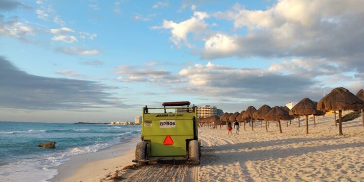 Mantienen brigadas contra el sargazo en Cancún