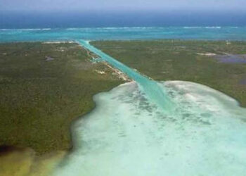 Falta de recursos frenará este año avances en el Canal de Zaragoza