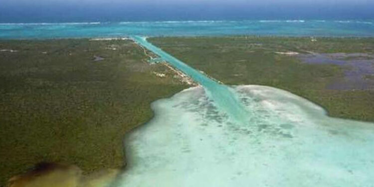 Falta de recursos frenará este año avances en el Canal de Zaragoza