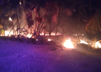 Se registra incendio en Sian Ka’an