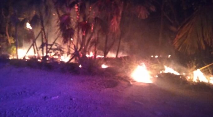 Se registra incendio en Sian Ka’an