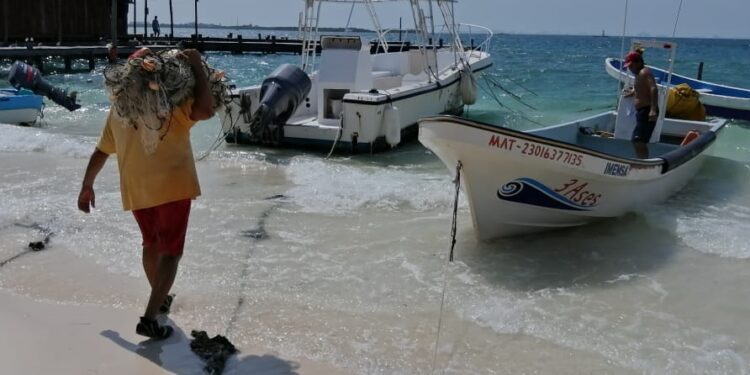 Inicia veda de langosta y periodo crítico para los pescadores de Isla Mujeres