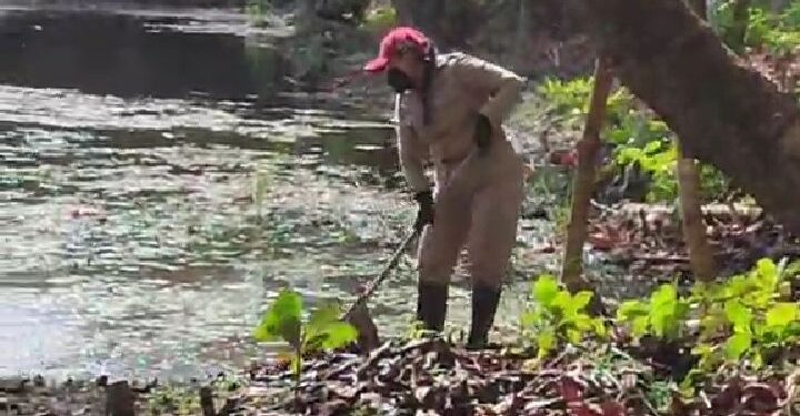 En Isla Mujeres continúan trabajos contra el Paludismo