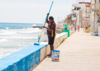 Dan manita de gato al Malecón Oriente
