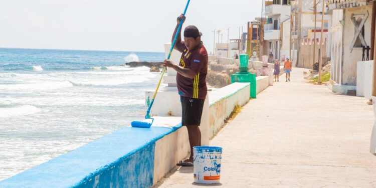Dan manita de gato al Malecón Oriente