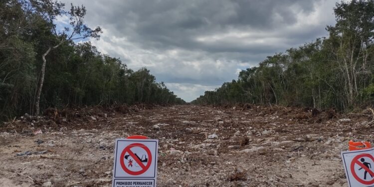 Incalculables los daños por trazo del Tren Maya señala ‘Amigos de Sian Ka’an’